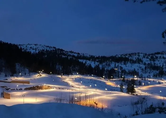 Dom wakacyjny New And Completed Year-round At Gautefall Drangedal